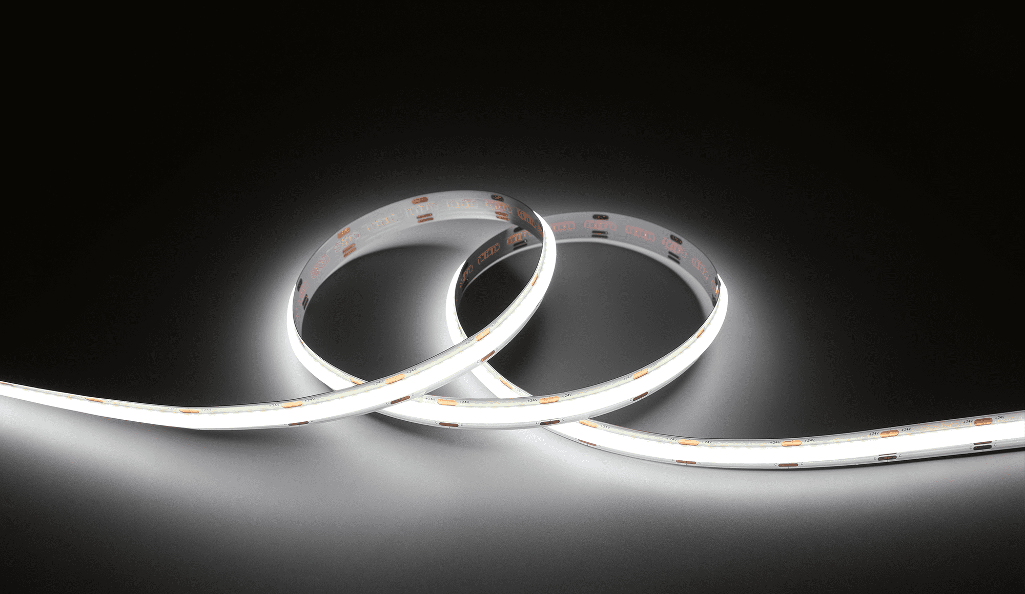 Cobflex CCT COB led strip 6500K