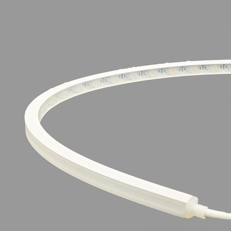 ELITE NEON WALL WASHER (18)